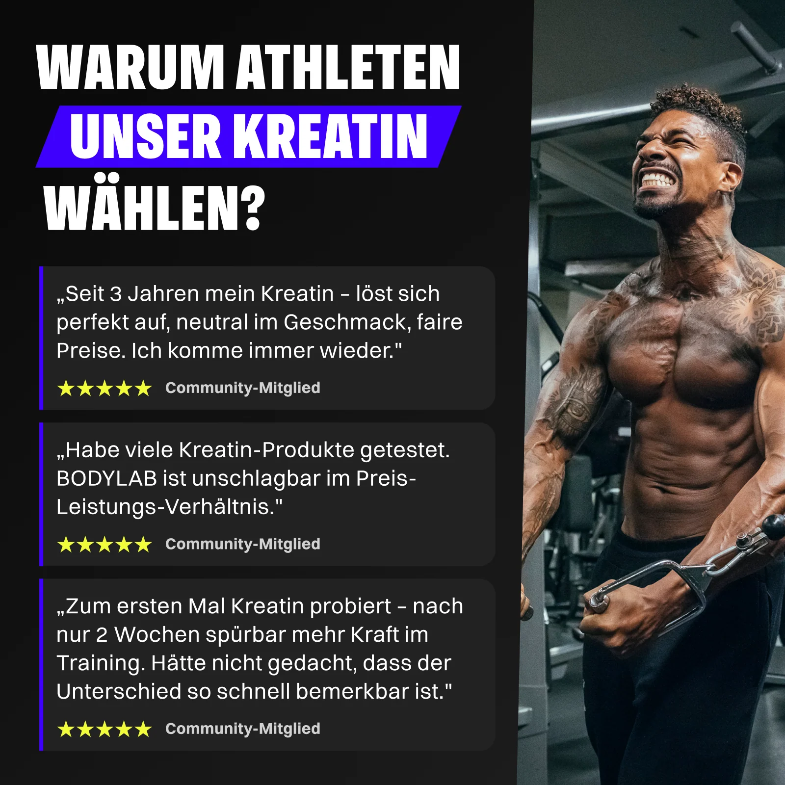 Vorschaubild 11