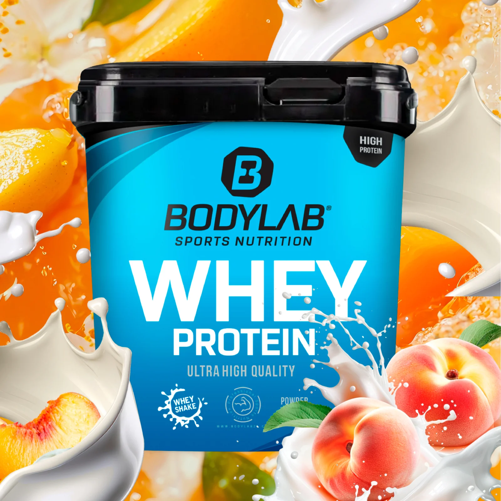 Vorschaubild 31