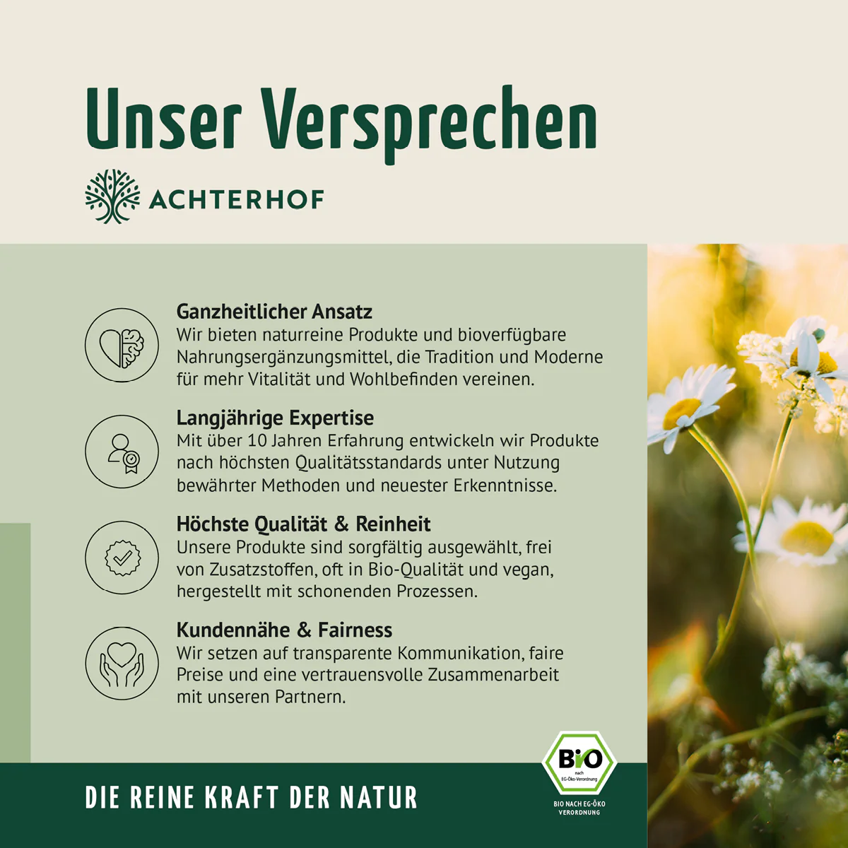 Vorschaubild 15